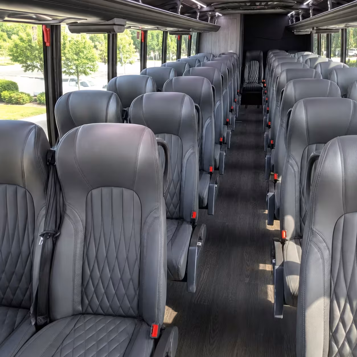buckeye minibus rentals for cactus league spring training
